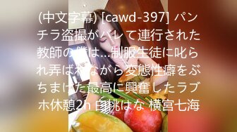 《极品反差淫妻泄密》真实骚妻纯肉便器！推特网红NTR顶级绿帽奴【色小敏】私拍，户外露出啪啪3P被绿主肏怀孕