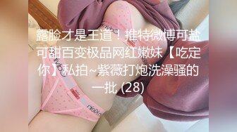 重口注意MyPrego孕妇系列2020年资源合集【71V】2 (31)