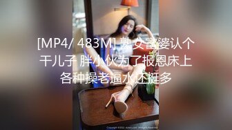 [MP4/ 321M]&nbsp;&nbsp;极品性爱重磅泄密眼镜男啪啪超闷骚眼镜女友 衣服鞋子没脱就强插骚逼 一顿怼操内射 完美露脸