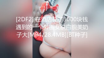 [2DF2] 在酒店花了3000块钱遇到的一个外围女肤白貌美奶子大[MP4/28.4MB][BT种子]