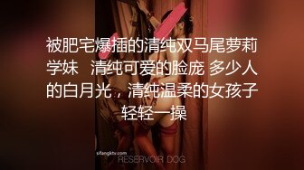 《极品女体SM调教》王者级摄影大神K哥工作室各种道具捆绑语言调教模特艾莉丝口交啪啪猥琐至极近景镜头无水1080P原版