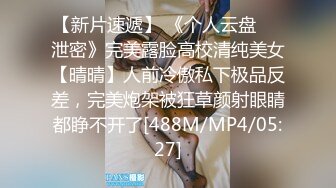 星空传媒XKVP131圣诞老色批假借送礼爽操小寡妇