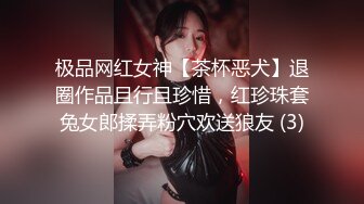 极品网红女神【茶杯恶犬】退圈作品且行且珍惜，红珍珠套兔女郎揉弄粉穴欢送狼友 (3)