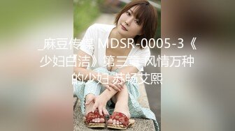 _麻豆传媒 MDSR-0005-3《少妇白洁》第三章 风情万种的少妇 苏畅艾熙