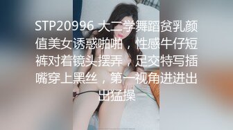 【HEYZO-0560】 美痴女～女王様気取政治家秘書～