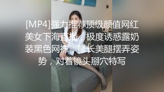 91C仔之大鸟兄弟-第三部 -热战技巧骚劲十足熟女