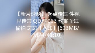 几年前的极品女友2