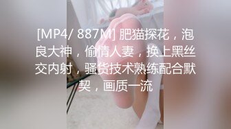 [MP4/ 887M] 肥猫探花，泡良大神，偷情人妻，换上黑丝交内射，骚货技术熟练配合默契，画质一流