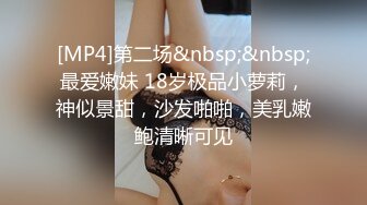 [MP4]果冻传媒-换妻（下部）我操了领导老婆 领导非得操我老婆