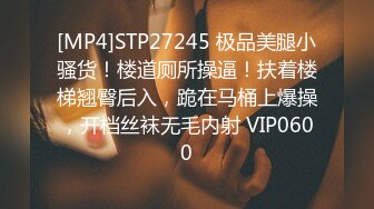 [MP4]STP27245 极品美腿小骚货！楼道厕所操逼！扶着楼梯翘臀后入，跪在马桶上爆操，开档丝袜无毛内射 VIP0600