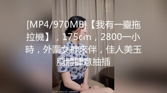 DA-004 大象传媒 火辣女同事的性感诱惑 李娜娜