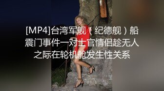 大奶老婆第一二季