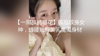 【一屌极品寻花】极品纹身女神，蜂腰翘臀美乳魔鬼身材