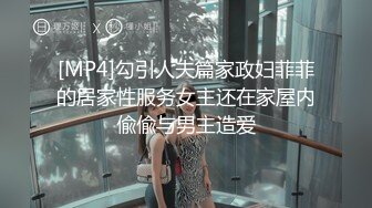 [MP4]勾引人夫篇家政妇菲菲的居家性服务女主还在家屋内偸偸与男主造爱