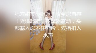 麻豆传媒MD137-窃贼误闯阴道内 E奶贵妇把傻小贼草了 巨乳新人钟丽琪