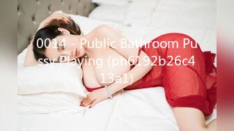 0014 - Public Bathroom Pussy Playing (ph6192b26c413a1)