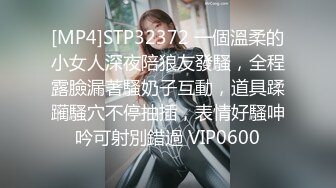 [MP4]STP32372 一個溫柔的小女人深夜陪狼友發騷，全程露臉漏著騷奶子互動，道具蹂躏騷穴不停抽插，表情好騷呻吟可射別錯過 VIP0600