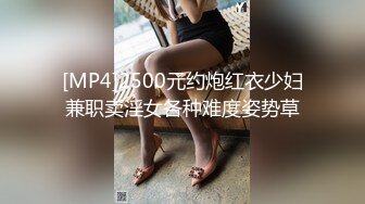 女搜查官特殊手段