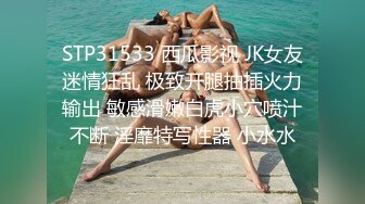 夫夫情侣的假期快乐