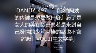 DANDY-497 「『你偷阿姨的內褲是想要做什麼』忘了是女人的美女歐巴桑若是來對自己發情的少年肉棒的話也不會討厭」VOL.1[中文字幕]