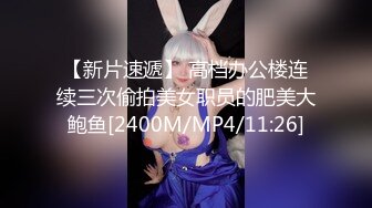 【新片速遞】 高档办公楼连续三次偷拍美女职员的肥美大鲍鱼[2400M/MP4/11:26]