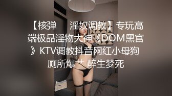 【核弹❤️淫奴调教】专玩高端极品淫物大神《DOM黑宫》KTV调教抖音网红小母狗 厕所爆艹 醉生梦死