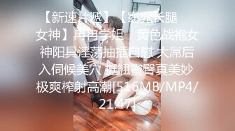 [MP4]星空传媒最新出品母狗or女王 - 幻想温柔乡反差老婆两级反转