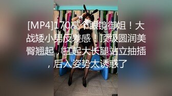 [MP4]涩会传媒 SH-009 美女特工为了救哥哥不惜出卖身体