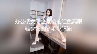 办公楼女厕全景偷拍红色高跟鞋少妇的多毛小肥鲍