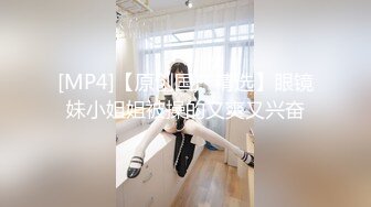 [315ETQR-165]【妄想主観】なんでもいいなり従順巨乳メイド 排卵日子作り中出しご奉仕 永澤ゆきの