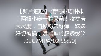 [MP4]STP25166 【国产AV荣耀??推荐】麻豆传媒正统新作MD234《骚妻的周年礼物》前后夹击 疯狂双飞大战 齐操双女神 VIP2209