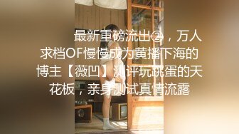 _三只狼SZL-017温柔妩媚妖娆E奶美容师