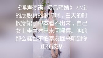 女仆性爱娃娃Vol.11～任主人摆布的女仆～