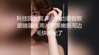 三部曲二-女友-对话-后入-维族-坦克-车震-良家