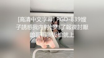 [高清中文字幕] PGD-839嫂子誘惑我內射他為了報復討厭的哥哥我拔槍就上