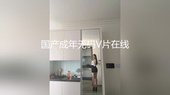 国产成年无码V片在线