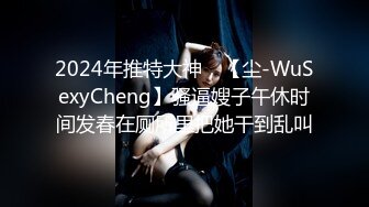 2024年推特大神，【尘-WuSexyCheng】骚逼嫂子午休时间发春在厕所里把她干到乱叫