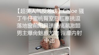 大像传媒之情慾絲襪巨乳的誘惑-林可菲