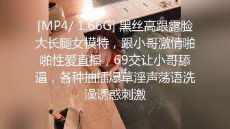 91经典系列资源整理合集P2【105V】 (28)