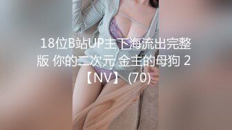 18位B站UP主下海流出完整版 你的二次元 金主的母狗 2 【NV】 (70)