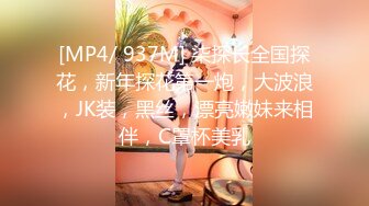 [MP4]麻豆传媒-国风旗袍初登场 冷艳美人的情趣游戏 全新女神苏清歌