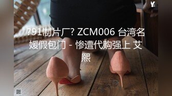 ?91制片厂? ZCM006 台湾名媛假包门－惨遭代购强上 艾熙