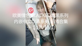 欧美情色 BLACKED媚黑系列 内嵌中文字幕系列 超清合集十【17V】 (1)