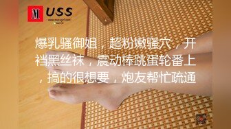 盲盒甜心女仆 情趣娃娃坠入爱河