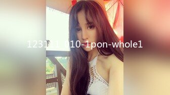 123111_010-1pon-whole1