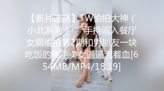 东京美臀美胸的小母狗5