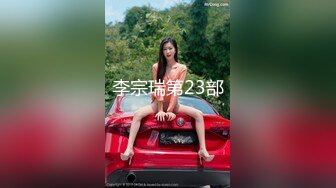 李宗瑞第23部