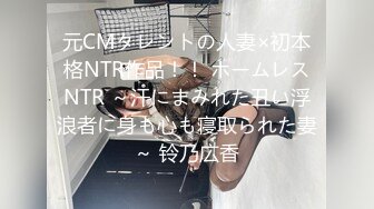 元CMタレントの人妻×初本格NTR作品！！ ホームレスNTR ～汗にまみれた丑い浮浪者に身も心も寝取られた妻～ 铃乃広香